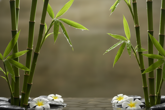 Bambus - ingredient natural sustenabil pentru exfoliere și remineralizare în cosmetica profesională